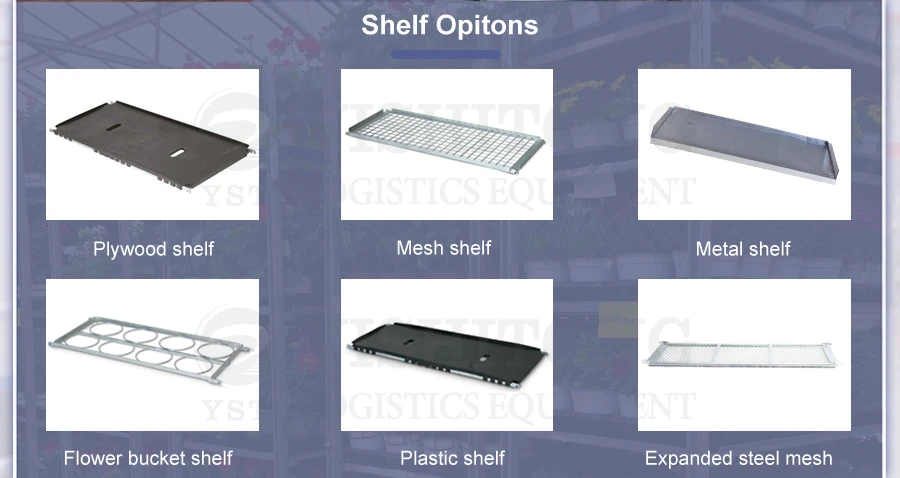 shelf options