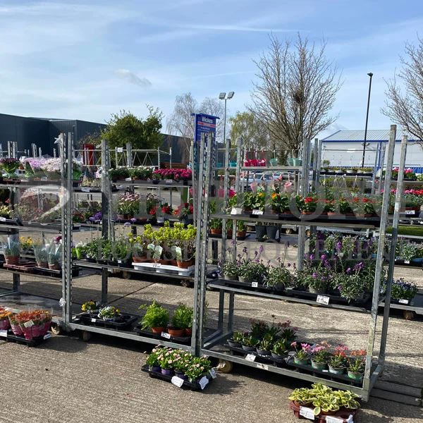 Kaj so hortikulturni danski vozički?