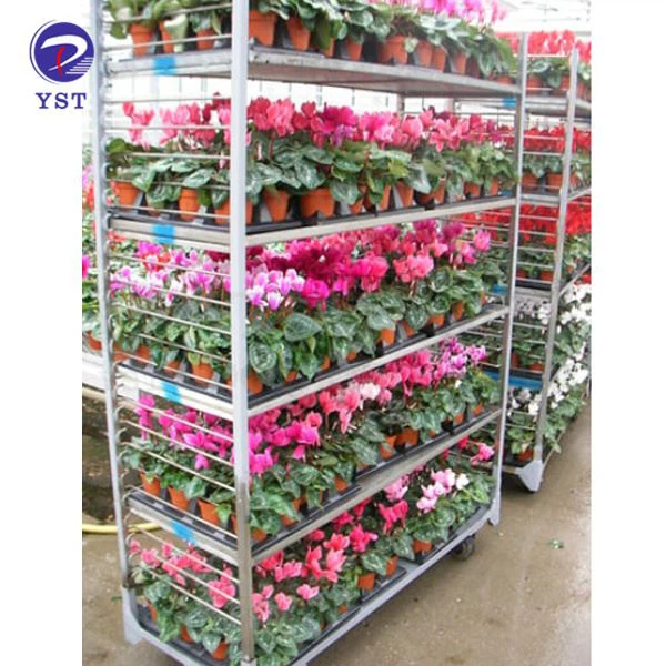 Plant Transport Trolley