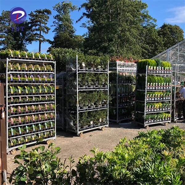 Greenhouse Plant Carts