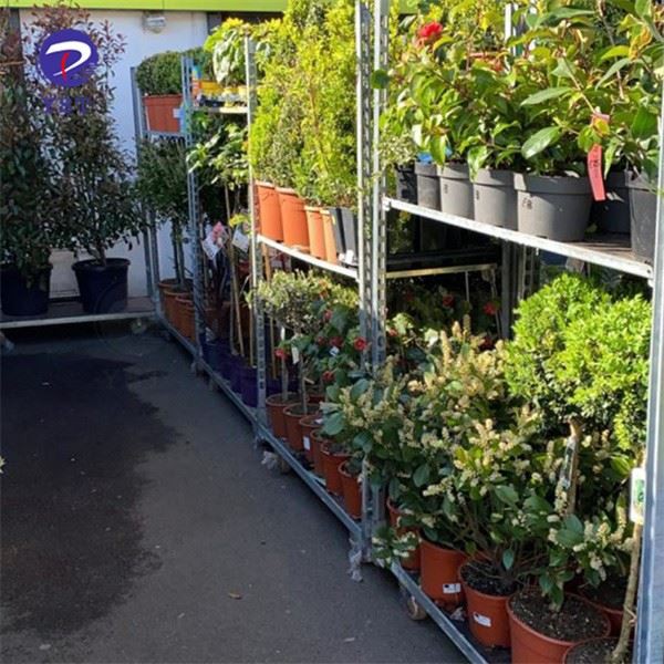 Greenhouse Plant Racks