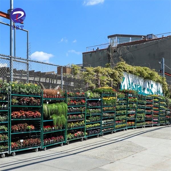 Plant Cc Trolley Carts