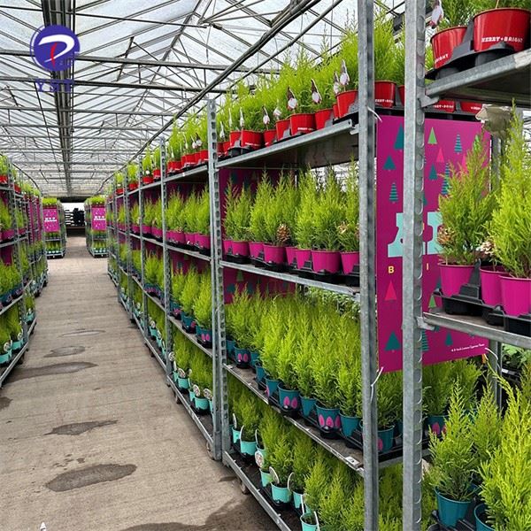 Plant Transportation Carts