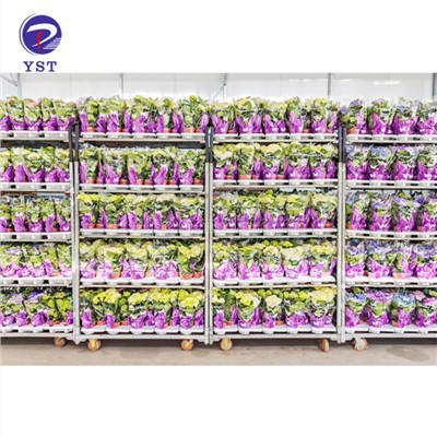 Vrtnarski voziček za rože Danski voziček