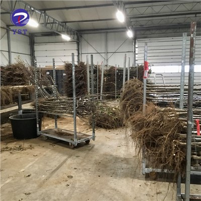 Voziček za omarice za rastline